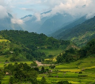 Vietnam 274
